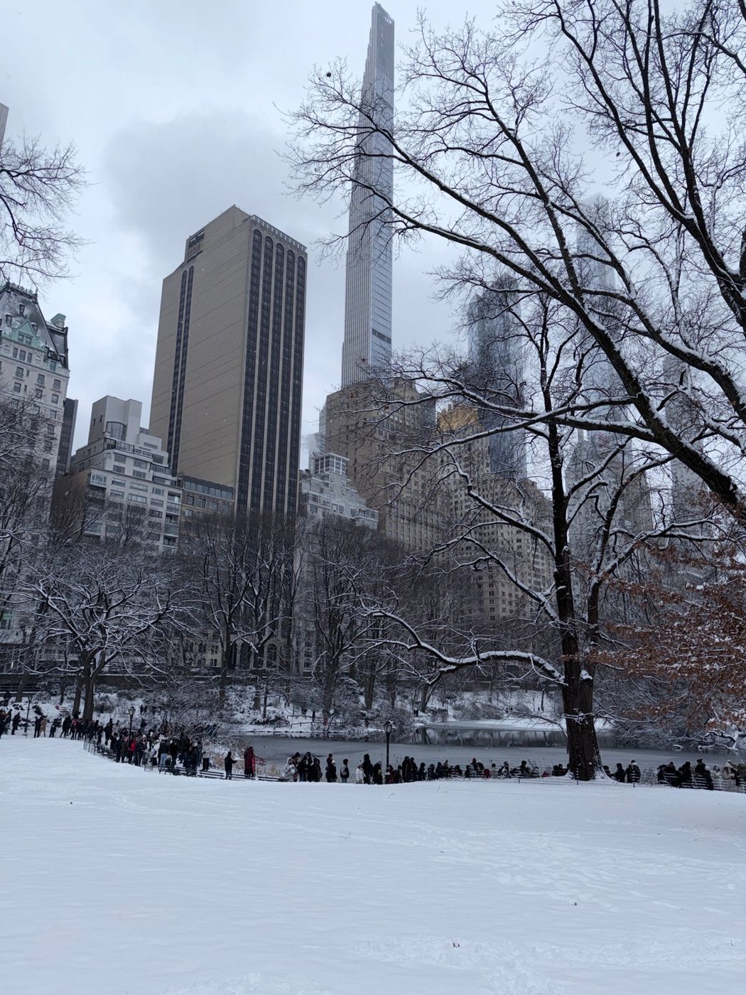 A winter park scene in New York City